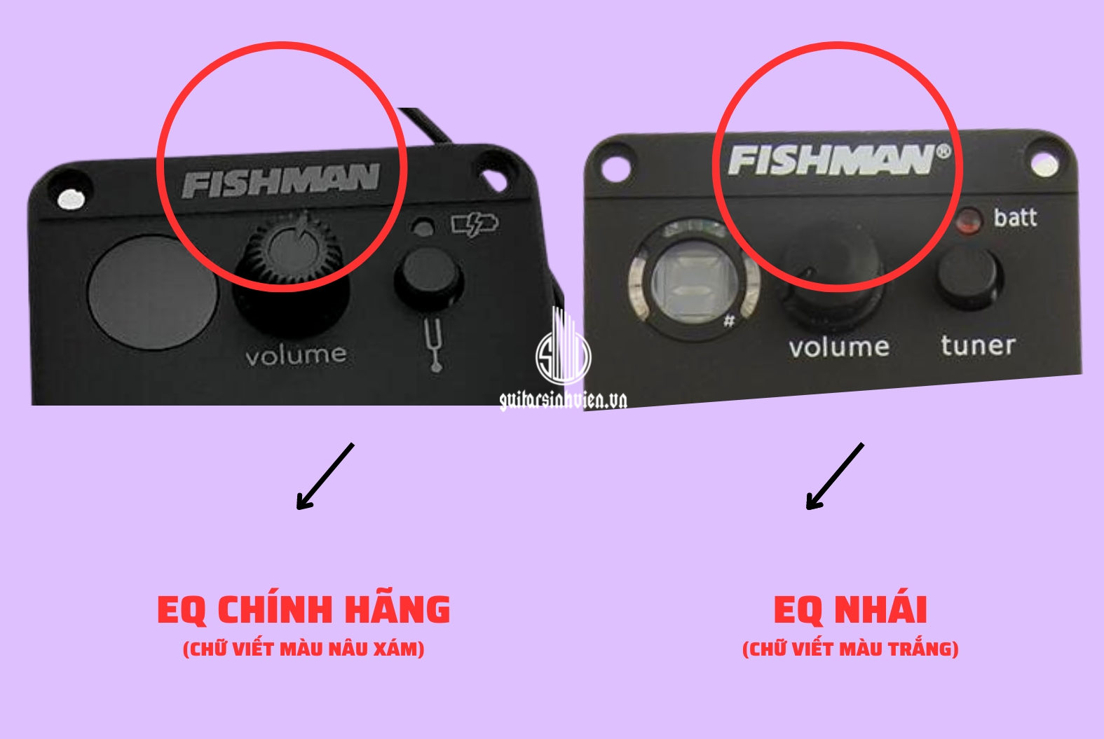 Hướng Dẫn Phân Biệt Eq Fishman Thật Giả Trên Thị Trường Hướng Dẫn Phân Biệt Eq Fishman Thật Giả Trên Thị Trường