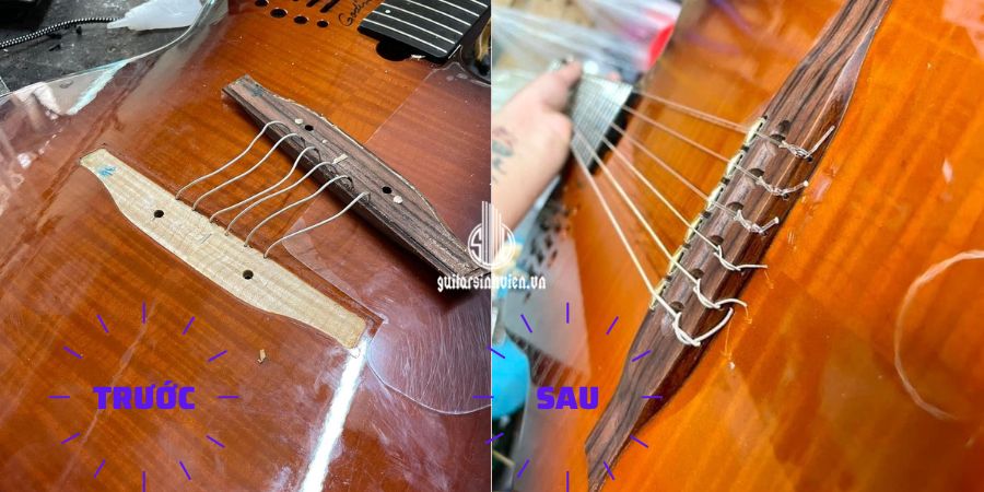 Shop Đàn Guitar Uy Tín Tại HCM