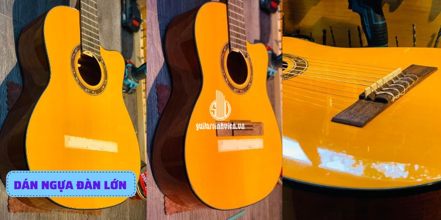 Sửa đàn guitar quận Tân Bình Sửa đàn guitar quận Tân Bình