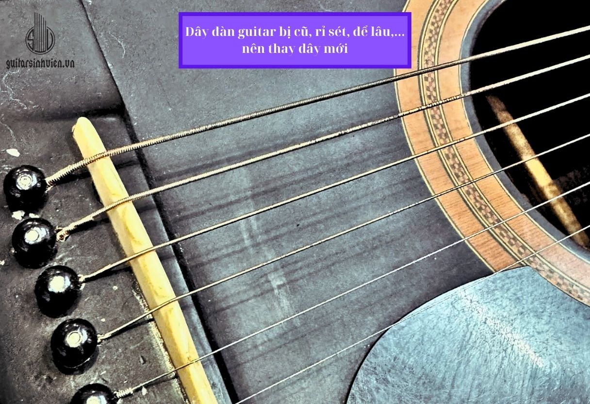 Thay Dây Đàn Guitar Uy Tín Tại TP Hồ Chí Minh Thay Dây Đàn GuitarTại TP Hồ Chí Minh