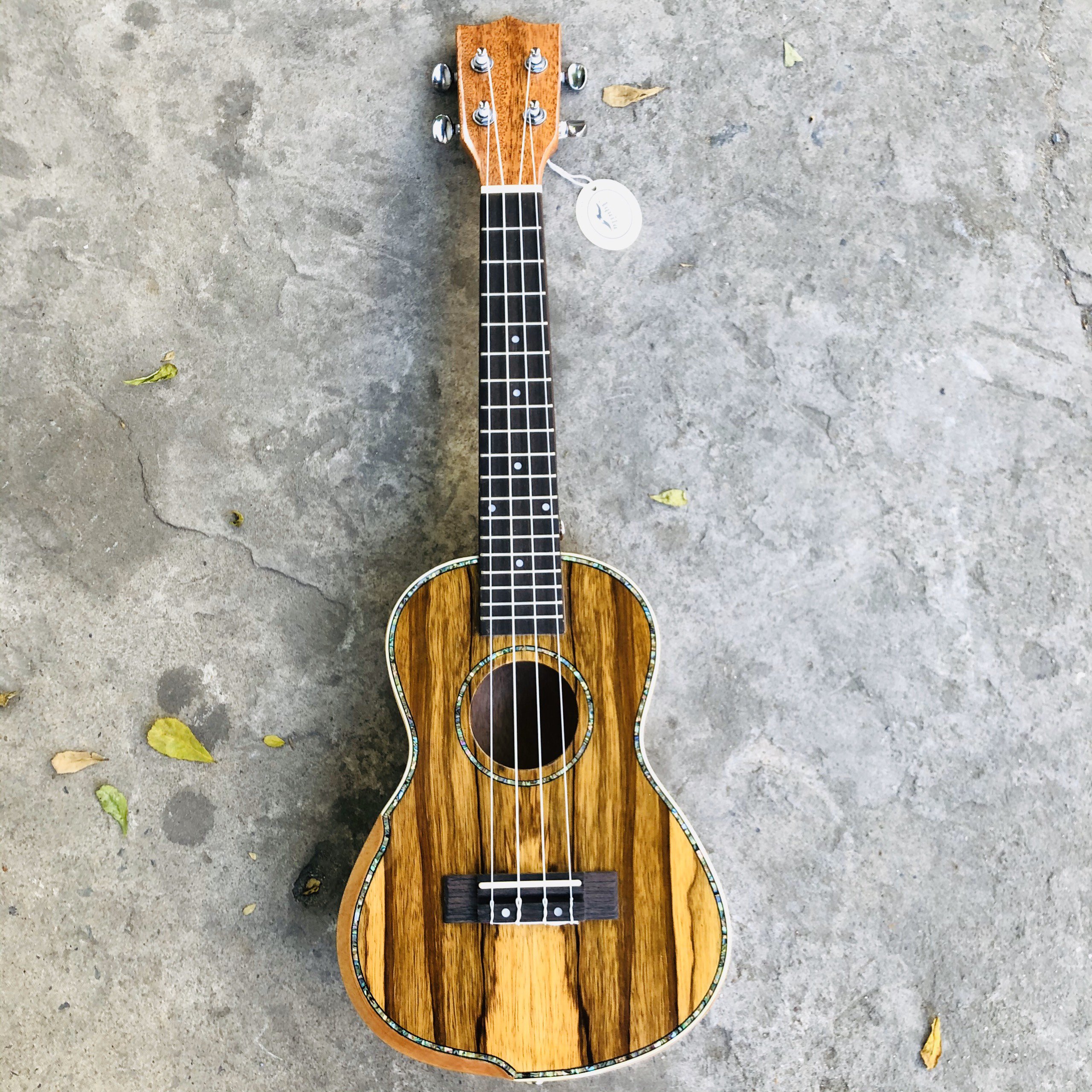 Đàn ukulele gỗ cocobolo cao cấp size concert - vân gỗ đẹp từ HCM
