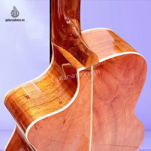 Đàn Guitar Classic Full Gỗ Hồng Đào SV-FC2