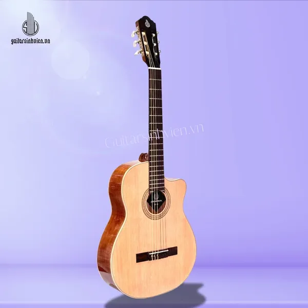 Đàn Guitar Classic Gỗ Hồng Đào Giá Rẻ SV-C2