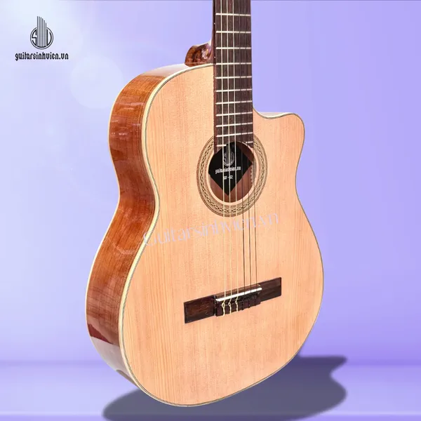 Đàn Guitar Classic Gỗ Hồng Đào Giá Rẻ SV-C2