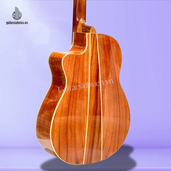 Đàn Guitar Classic Gỗ Hồng Đào Giá Rẻ SV-C2