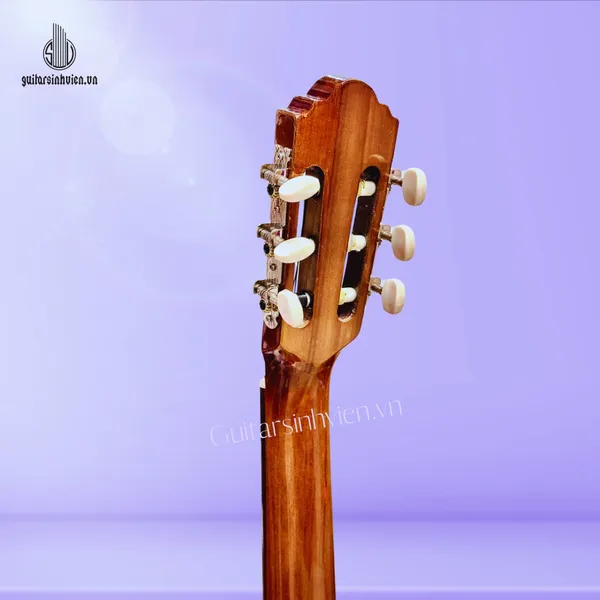 Đàn Guitar Classic Gỗ Hồng Đào Giá Rẻ SV-C2