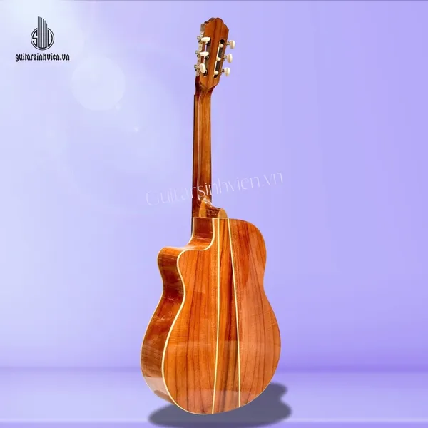 Đàn Guitar Classic Gỗ Hồng Đào Giá Rẻ SV-C2
