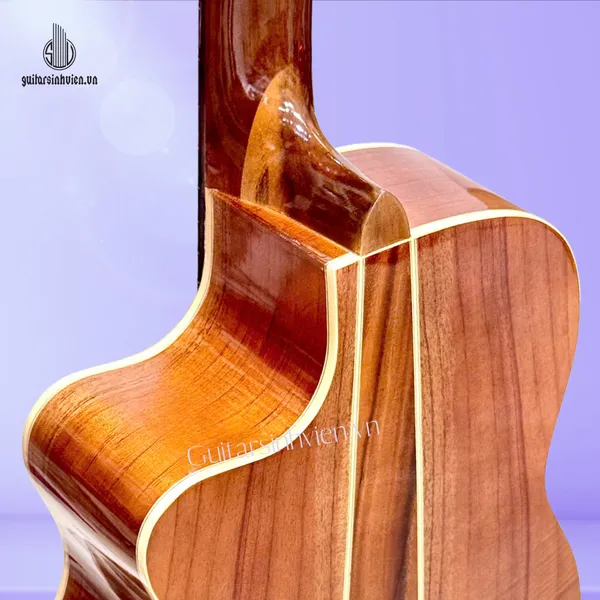 Đàn Guitar Classic Gỗ Hồng Đào Giá Rẻ SV-C2