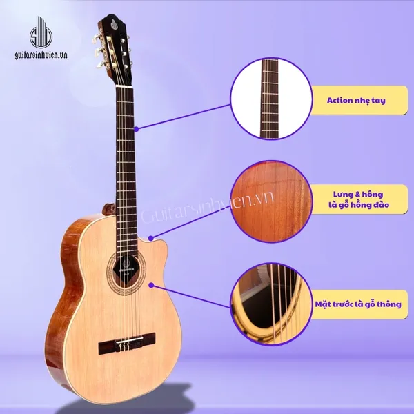 Đàn Guitar Classic Gỗ Hồng Đào Giá Rẻ SV-C2