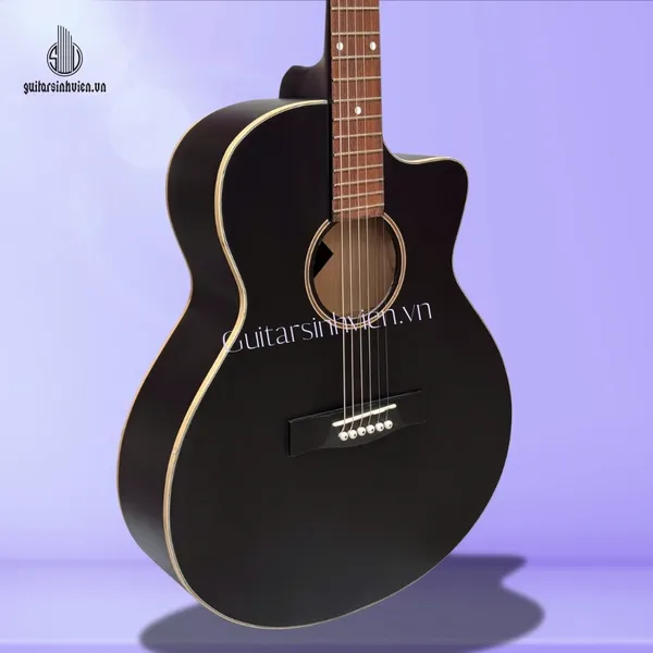 Đàn Guitar Acoustic Màu Đen Tập Chơi Giá Rẻ SV-A1