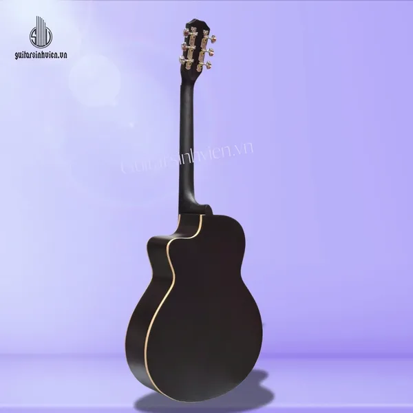 Đàn Guitar Acoustic Màu Đen Tập Chơi Giá Rẻ SV-A1