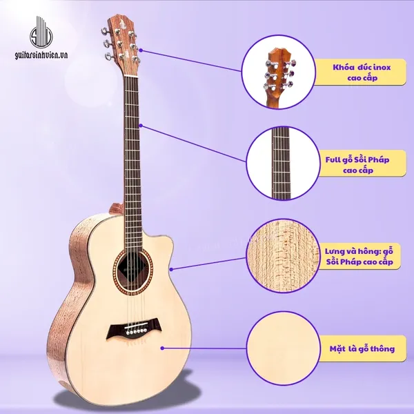 Đàn Guitar Acoustic Gỗ Sồi Pháp Cao Cấp SV-A6S