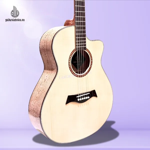 Đàn Guitar Acoustic Gỗ Sồi Pháp Cao Cấp SV-A6S