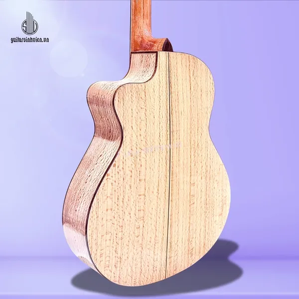 Đàn Guitar Acoustic Gỗ Sồi Pháp Cao Cấp SV-A6S