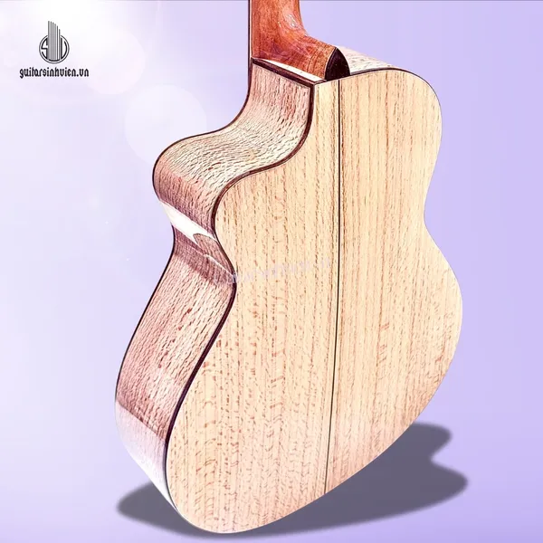 Đàn Guitar Acoustic Gỗ Sồi Pháp Cao Cấp SV-A6S