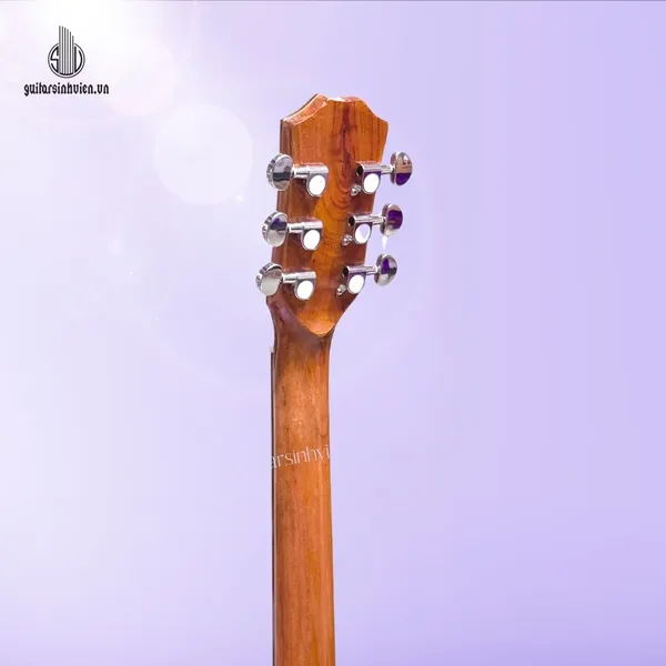 Đàn Guitar Acoustic Gỗ Sồi Pháp Cao Cấp SV-A6S