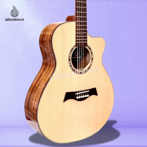 Đàn Guitar Acoustic Gỗ Điệp Cao Cấp SV-A5
