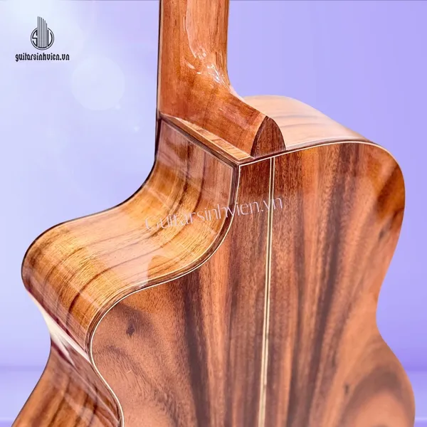 Đàn Guitar Acoustic Gỗ Điệp Cao Cấp SV-A5