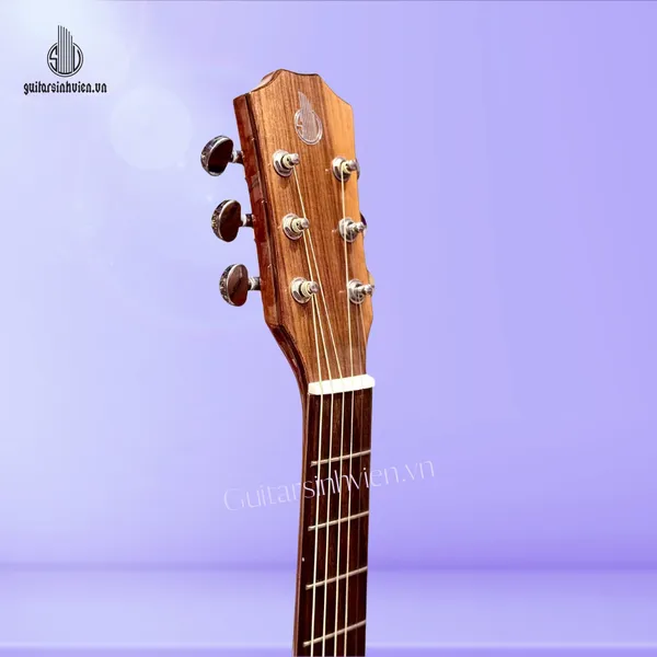 Đàn Guitar Acoustic Gỗ Điệp Cao Cấp SV-A5