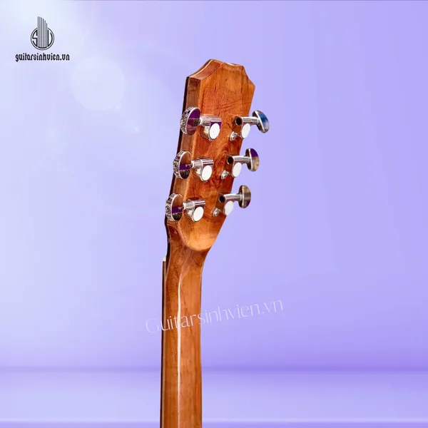 Đàn Guitar Acoustic Gỗ Điệp Cao Cấp SV-A5