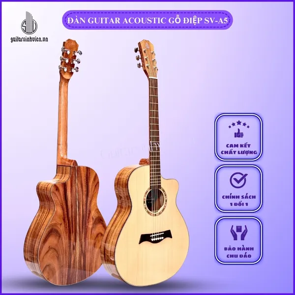 Đàn Guitar Acoustic Gỗ Điệp Cao Cấp SV-A5