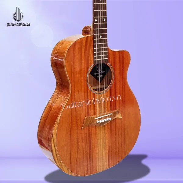 💥HOT💥 Đàn Guitar Acoustic Có Vát Bavel Chống Đau Tay - FA2V