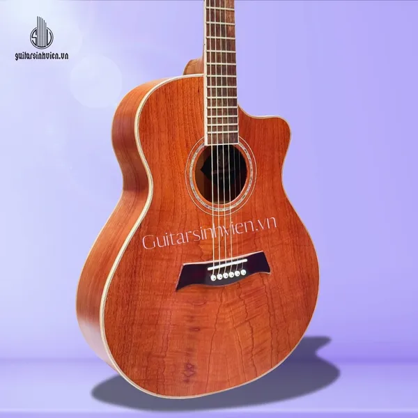 Đàn guitar acoustic gỗ hồng đào Full cây SV-FA4