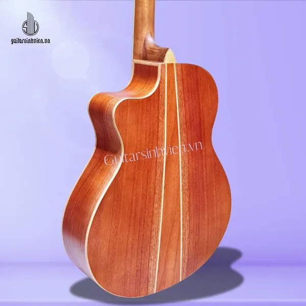 Đàn guitar acoustic gỗ hồng đào Full cây SV-FA4
