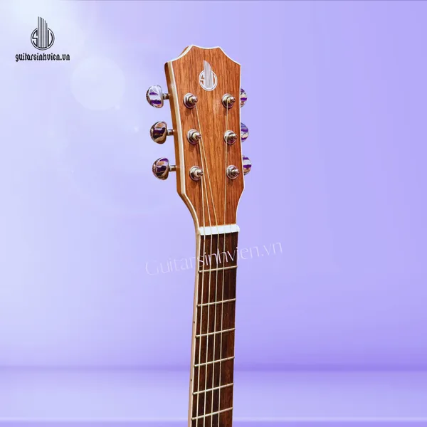 Đàn guitar acoustic gỗ hồng đào Full cây SV-FA4