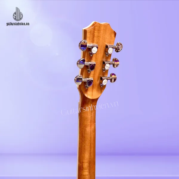 Đàn guitar acoustic gỗ hồng đào Full cây SV-FA4