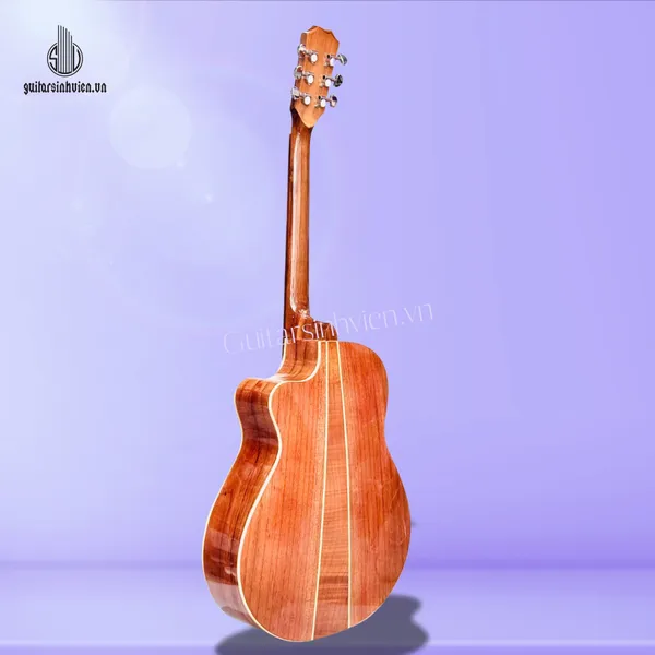 💥HOT💥 Đàn Guitar Acoustic Tập Chơi Gỗ Hồng Đào SV-A2
