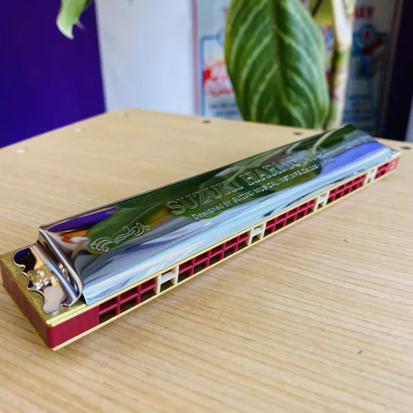 Kèn harmonica 24 lỗ âm chuẩn