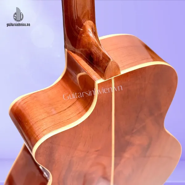 Đàn Guitar Acoustic Full Gỗ Hồng Đào SV-FA2 