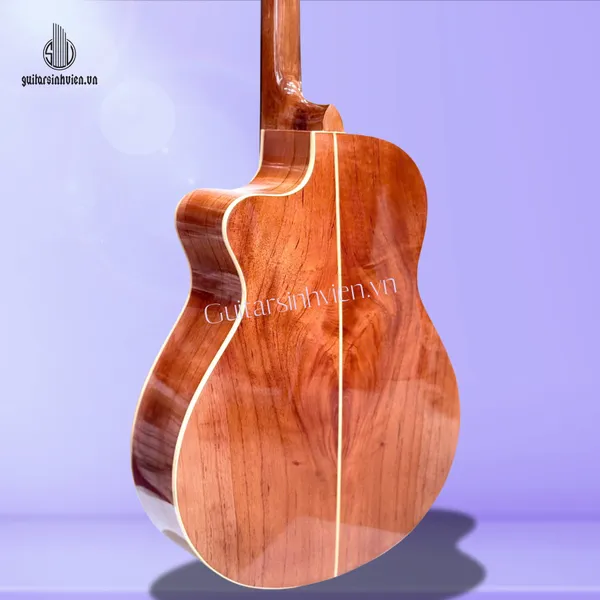 Đàn Guitar Acoustic Full Gỗ Hồng Đào SV-FA2 