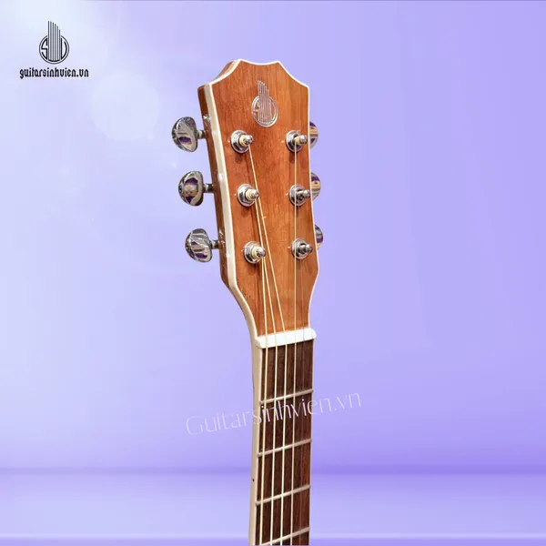 Đàn Guitar Acoustic Gỗ Hồng Đào Kỹ SV-A4