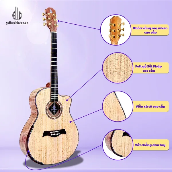 Đàn Guitar Acoustic Gỗ Sồi Pháp Cao Cấp Mã SV - FA6SV 