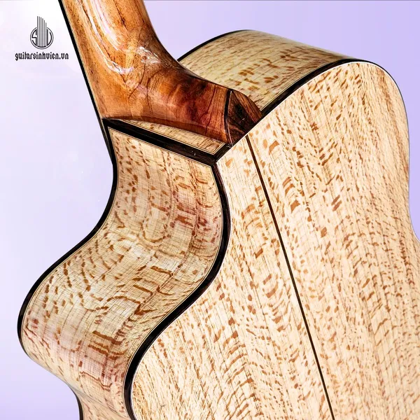Đàn Guitar Acoustic Gỗ Sồi Pháp Cao Cấp Mã SV - FA6SV 