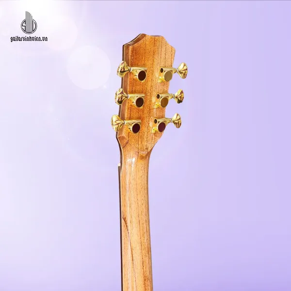 Đàn Guitar Acoustic Gỗ Sồi Pháp Cao Cấp Mã SV - FA6SV 