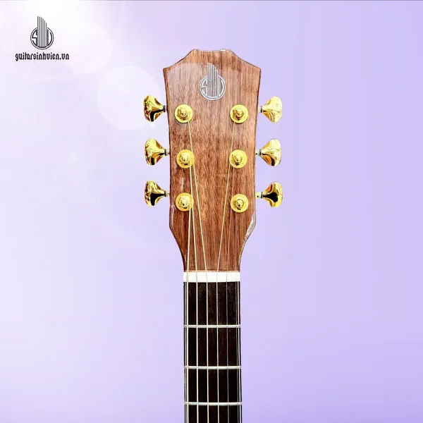 Đàn Guitar Acoustic Gỗ Sồi Pháp Cao Cấp Mã SV - FA6SV 
