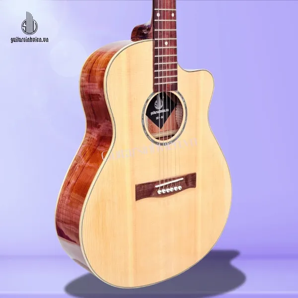 💥HOT💥 Đàn Guitar Acoustic Tập Chơi Gỗ Hồng Đào SV-A2