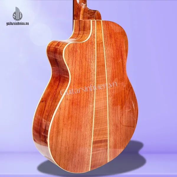 💥HOT💥 Đàn Guitar Acoustic Tập Chơi Gỗ Hồng Đào SV-A2