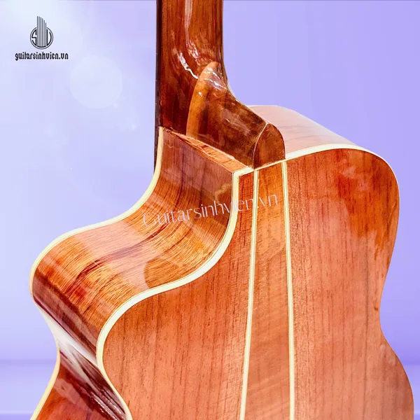 💥HOT💥 Đàn Guitar Acoustic Tập Chơi Gỗ Hồng Đào SV-A2