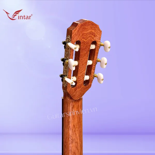 Đàn Guitar Classic Gỗ Cẩm Ấn Cao Cấp SV-C7