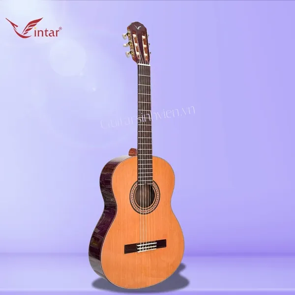 Đàn Guitar Classic Gỗ Cẩm Ấn Cao Cấp SV-C7