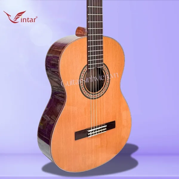 Đàn Guitar Classic Gỗ Cẩm Ấn Cao Cấp SV-C7