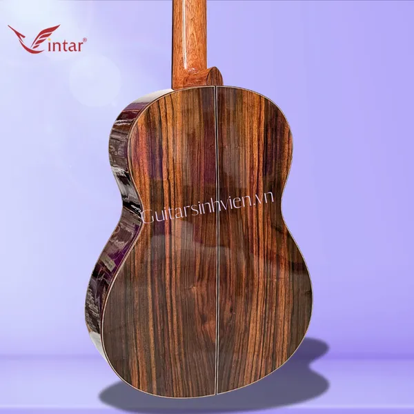 Đàn Guitar Classic Gỗ Cẩm Ấn Cao Cấp SV-C7
