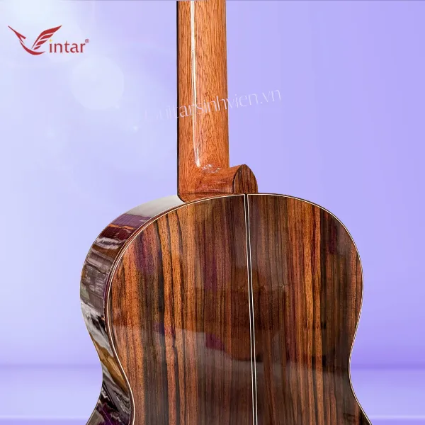 Đàn Guitar Classic Gỗ Cẩm Ấn Cao Cấp SV-C7