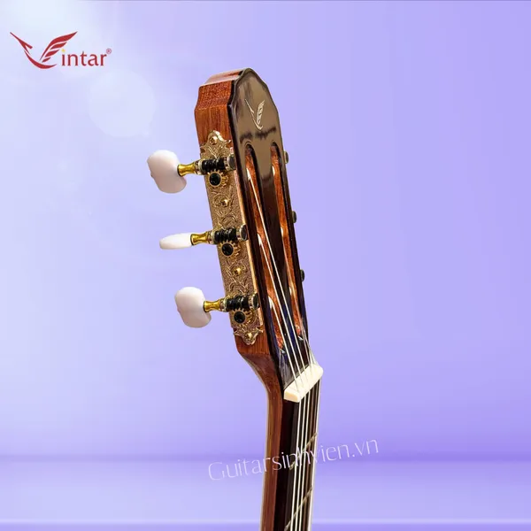 Đàn Guitar Classic Gỗ Cẩm Ấn Cao Cấp SV-C7