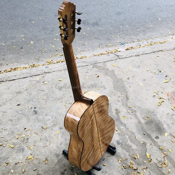 Đàn guitar classic gỗ còng cườm cao cấp SV-C6