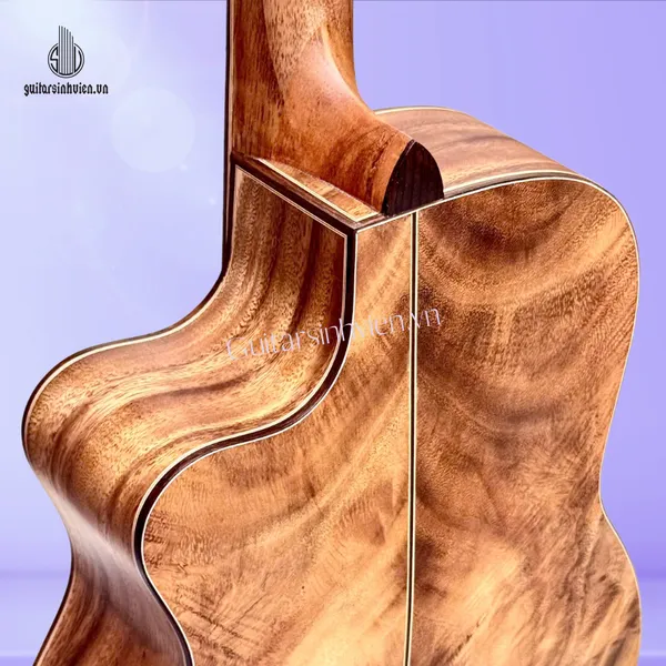 Đàn Guitar Classic Gỗ Điệp Cao Cấp SV-C5